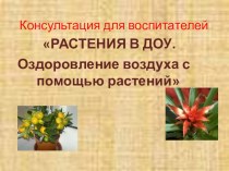 Презентация. Консультация для воспитателей Растения ДОУ. Оздоровление воздуха с помощью растений консультация по теме