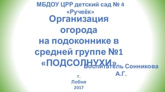Организация огорода на подоконнике в средней группе презентация к уроку (средняя группа)