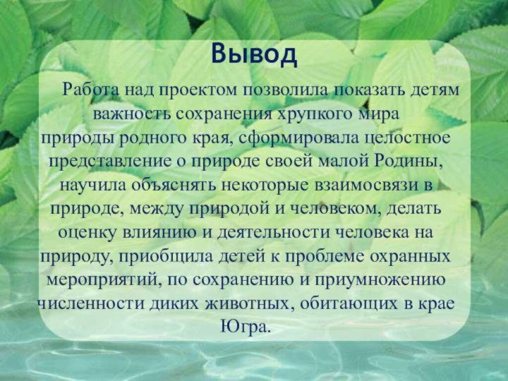 ВыводРабота над проектом позволила показать детям важность сохранения хрупкого мира природы родного края, сформировала целостное