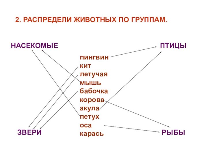 2. РАСПРЕДЕЛИ ЖИВОТНЫХ ПО ГРУППАМ.пингвинкитлетучая мышьбабочкакороваакулапетухосакарась