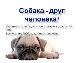 Презентация проекта Собака-друг человека презентация к уроку (старшая группа)
