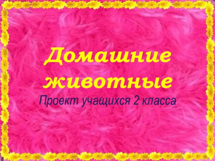 Домашние животныеПроект учащихся 2 класса