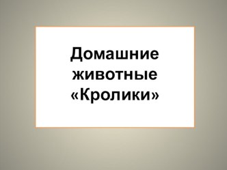 ПРИЗЕНТАЦИЯ КРОЛИКИ презентация к уроку по окружающему миру (средняя группа)