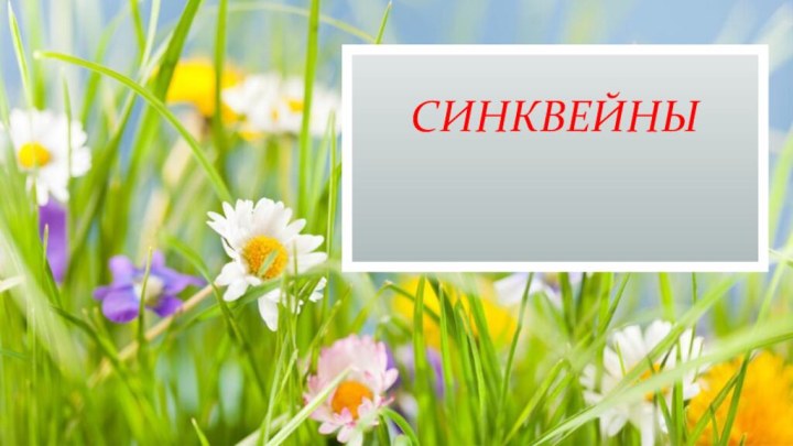 СИНКВЕЙНЫ