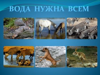 Превращения и круговорот воды 2