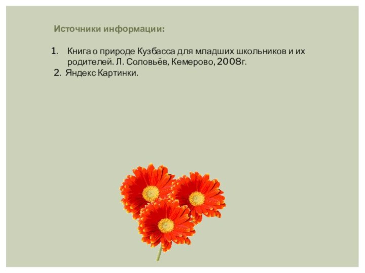 Источники информации:Книга о природе Кузбасса для младших школьников и их родителей. Л.