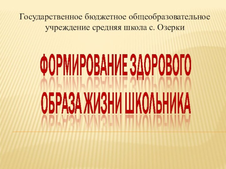 Государственное бюджетное общеобразовательное учреждение средняя школа с. Озерки