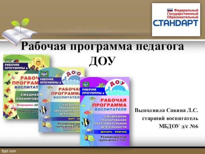 Рабочая программа педагога ДОУВыполнила Савина Л.С.старший воспитатель МБДОУ д/с №6