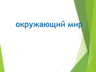 современный урок окружающего мира презентация к уроку по окружающему миру