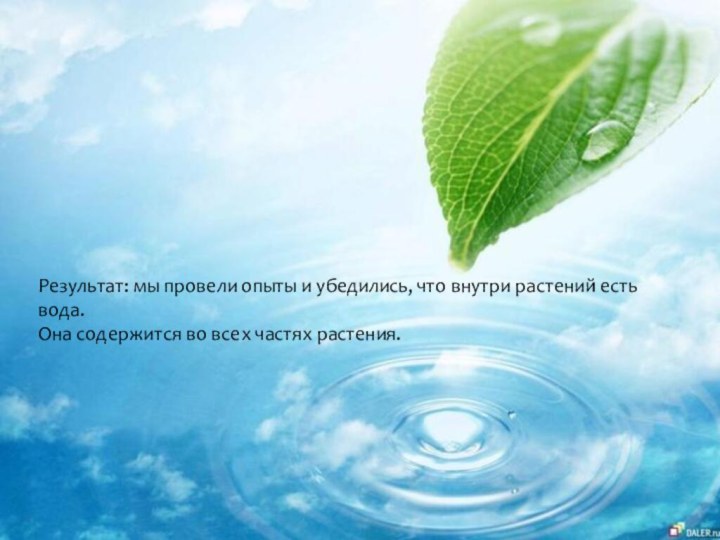 Результат: мы провели опыты и убедились, что внутри растений есть вода. Она