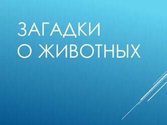 Презентация Загадки о животных  презентация по окружающему миру