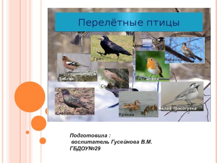 Подготовила : воспитатель Гусейнова В.М. ГБДОУ№29