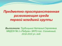 ППРС в первой младшей группе презентация к уроку (младшая группа)