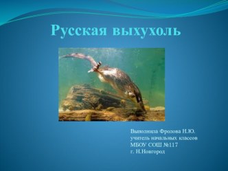 Русская выхухоль презентация к уроку по окружающему миру (2 класс)