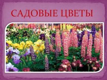 sadovye cvety -chast 1