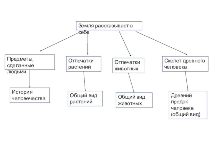 Земля рассказывает о себеПредметы, сделанные людьмиОтпечатки растенийОтпечатки животныхСкелет древнего человекаИстория человечестваОбщий вид