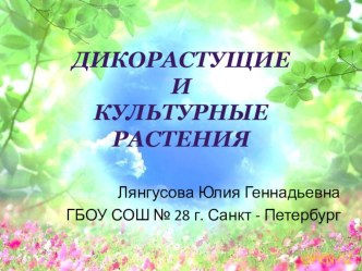 Дикорастущие и культурные растения презентация к уроку по окружающему миру (2 класс) по теме