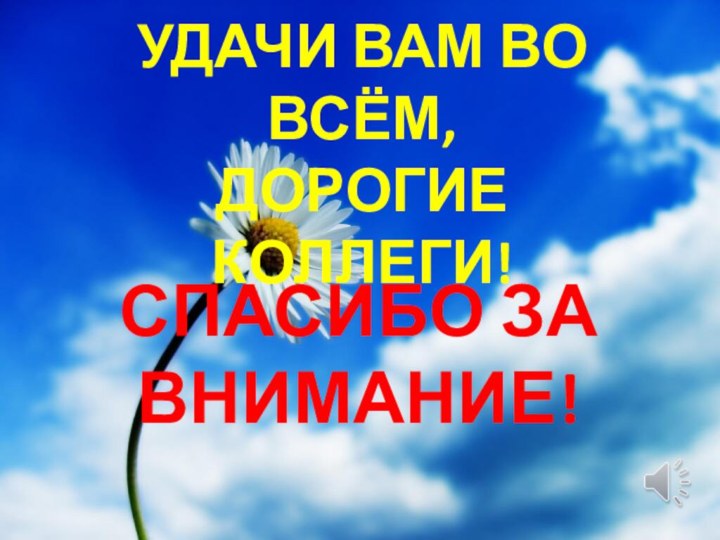 УДАЧИ ВАМ ВО ВСЁМ,  ДОРОГИЕ КОЛЛЕГИ! СПАСИБО ЗА ВНИМАНИЕ!