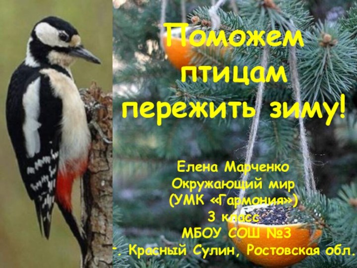 Поможем птицам пережить зиму!Елена МарченкоОкружающий мир(УМК «Гармония»)3 класс МБОУ СОШ №3г. Красный Сулин, Ростовская обл.