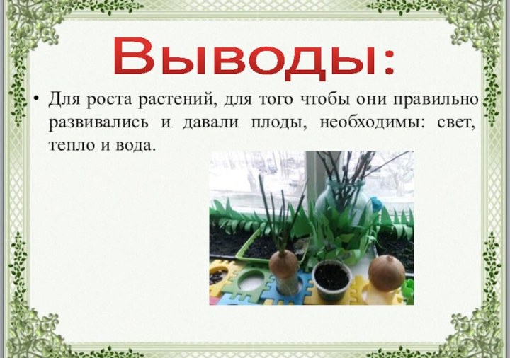 Для роста растений, для того чтобы они правильно развивались и давали плоды,