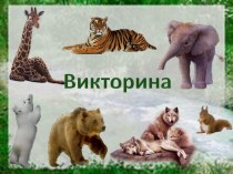 Викторина Московский зоопарк презентация к уроку по окружающему миру (старшая группа)