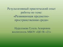 Результативный практический опыт работы по теме:Развивающая предметно-пространственная среда проект (подготовительная группа)