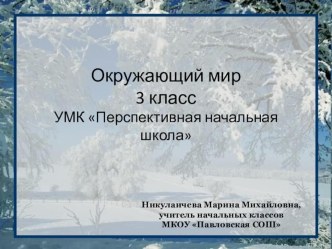 свойства льда презентация к уроку по окружающему миру (3 класс)