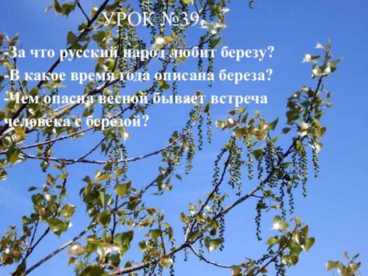 УРОК №39. -За что русский народ любит березу?-В какое время года описана