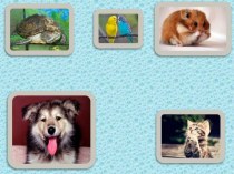 ПрезентацияМы в ответе за животных презентация к уроку (3 класс)