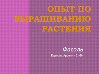 Опыт по выращиванию растения проект по окружающему миру (2 класс) по теме