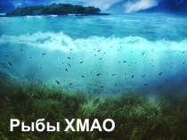 Презентация Рыбы ХМАО презентация к уроку по окружающему миру (старшая группа)