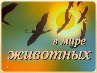 Презентация урока по живому миру в 4 классе по теме В мире животных презентация к уроку по окружающему миру (4 класс)