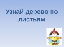 Дидактическая игра Узнай дерево материал по окружающему миру (1 класс) по теме