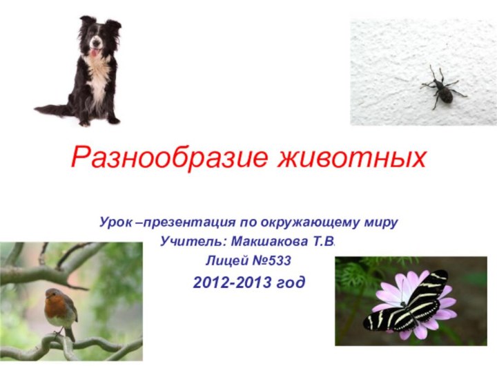 Разнообразие животныхУрок –презентация по окружающему мируУчитель: Макшакова Т.В.Лицей №5332012-2013 год
