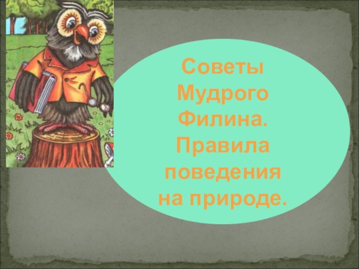 Советы Мудрого Филина.Правила поведения на природе.