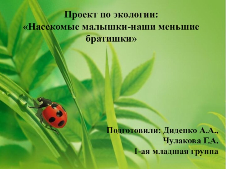 Проект по экологии: «Насекомые малышки-наши меньшие братишки»Подготовили: Диденко А.А.,Чулакова Г.А.1-ая младшая группа