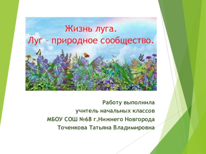 Жизнь луга. Луг – природное сообщество.Работу выполнилаучитель начальных классовМБОУ СОШ №68 г.Нижнего НовгородаТоченкова Татьяна Владимировна