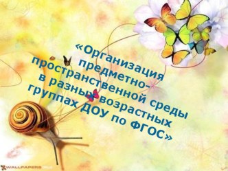 Презентация Организация предметно - пространственной среды в разных возрастных группах ДОУ по ФГОС презентация