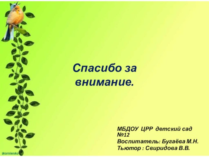 Спасибо за  внимание. МБДОУ ЦРР детский сад №12Воспитатель: Бугаёва М.Н.Тьютор : Свиридова В.В.