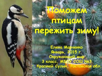 Поможем птицам зимой презентация к уроку по окружающему миру (3 класс)