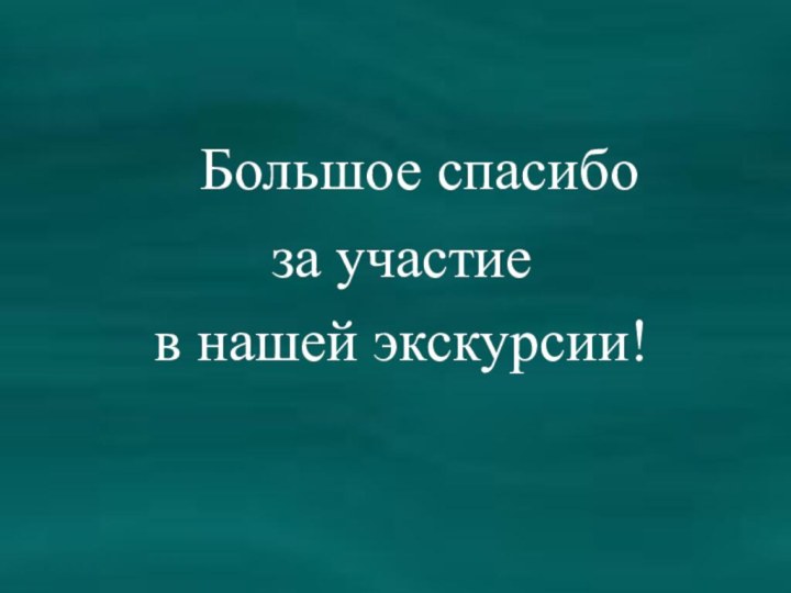 Большое спасибо за участие в нашей экскурсии!