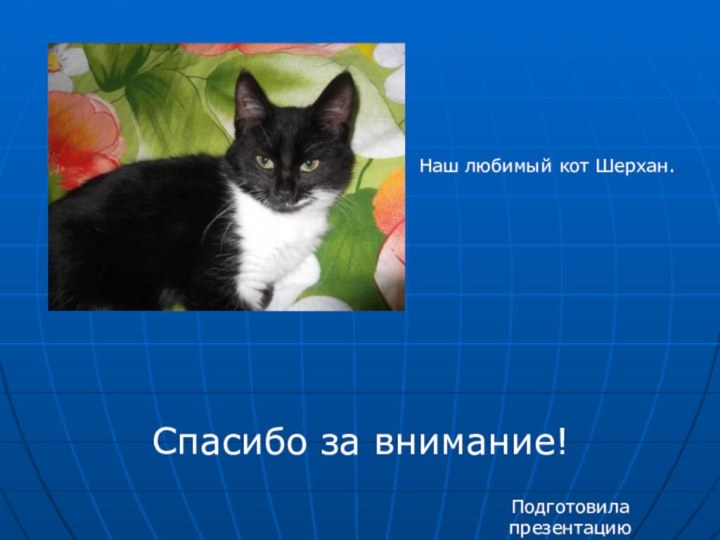 Спасибо за внимание!Подготовила презентацию Бойко Елизавета Игоревна.Наш любимый кот Шерхан.