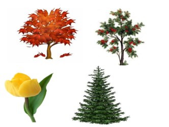 игра Четвёртый лишний презентация для интерактивной доски