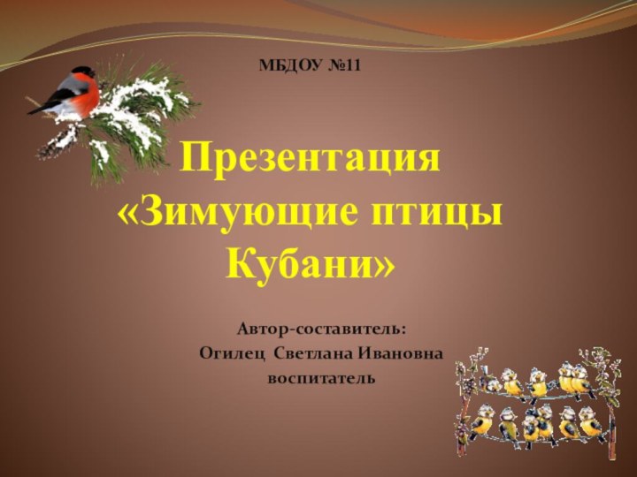 МБДОУ №11  Презентация «Зимующие птицы Кубани»Автор-составитель: Огилец Светлана Ивановнавоспитатель