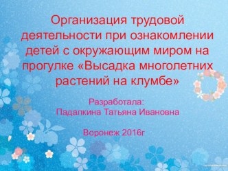 Презентация Высадка многолетних растений на клумбе презентация по окружающему миру по теме