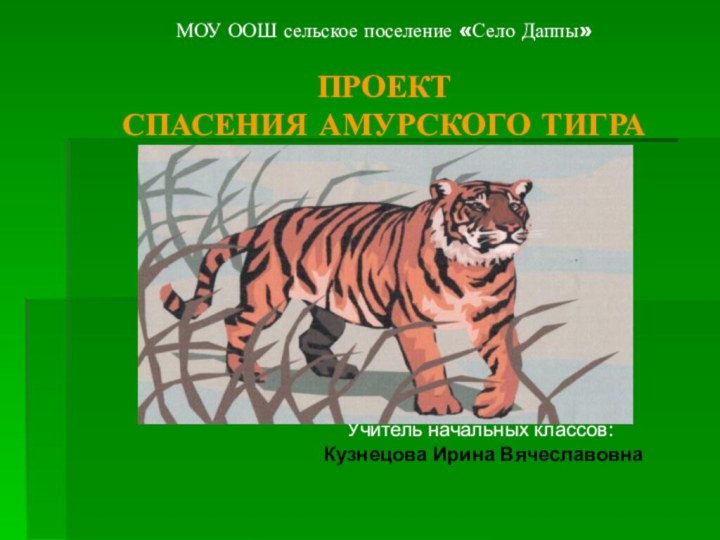 МОУ ООШ сельское поселение «Село Даппы»   ПРОЕКТ СПАСЕНИЯ АМУРСКОГО ТИГРА