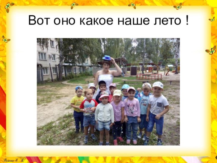 Вот оно какое наше лето !