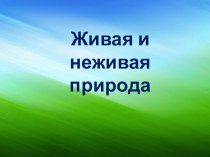 Презентация Живое - неживое презентация к уроку по окружающему миру (младшая, средняя, старшая, подготовительная группа)