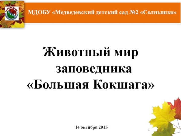 МДОБУ «Медведевский детский сад №2 «Солнышко»Животный мир заповедника«Большая Кокшага»14 октября 2015