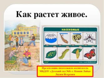 Как растет живое презентация к уроку (подготовительная группа)